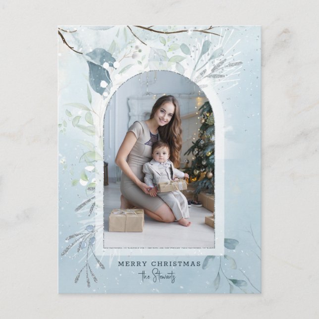 Cartão Postal De Festividades Foto do Arco Botânico de Inverno Azul Moderno (Frente)