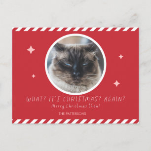 Cartão Postal De Festividades Foto do Grumpy Cat engraçado natal nome da família