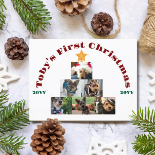 Cartão Postal De Festividades Foto do Primeiro Natal do Cachorro na Árvore, Pet