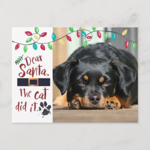 Cartão Postal De Festividades Foto engraçada da letra do papai noel do cão