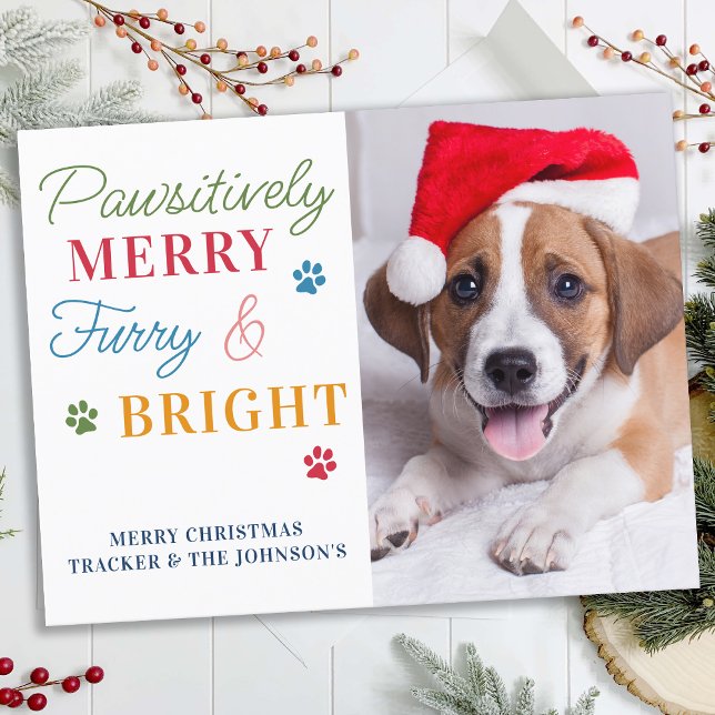 Cartão Postal De Festividades Foto personalizada de Pet forry de Feliz pawsitiva (Criador carregado)