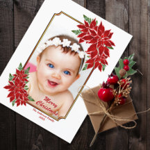 Foto personalizada - Natal branco da Poinsettia Ve