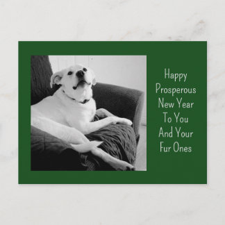 Cartão Postal De Festividades Foto Preto e Branco de Ano Novo de Cachorro Fofo V