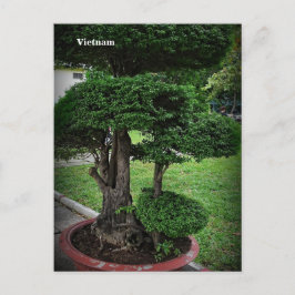 Cartão Postal De Festividades Fotografia na rua Vietnã