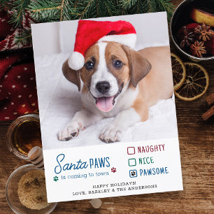 Cartão Postal De Festividades Fotos de Animais com Santa Patas Travesso Bonito P
