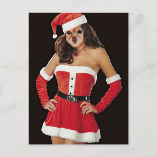 Cartão Postal De Festividades Fox É Outro Auxiliar De Papais noeis
