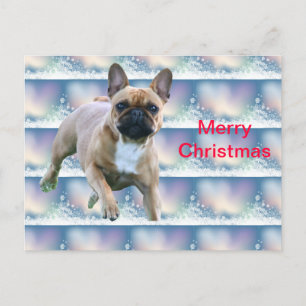 Cartão Postal De Festividades Französische Bulldoggen Weihnachtskarte
