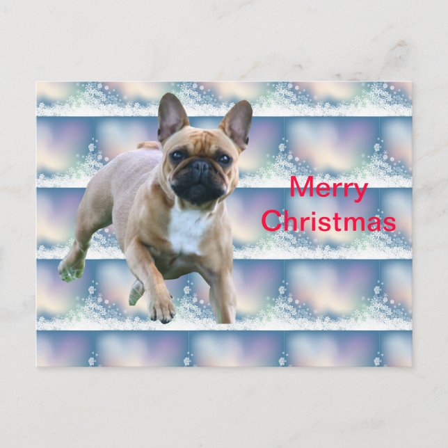 Cartão Postal De Festividades Französische Bulldoggen Weihnachtskarte (Frente)