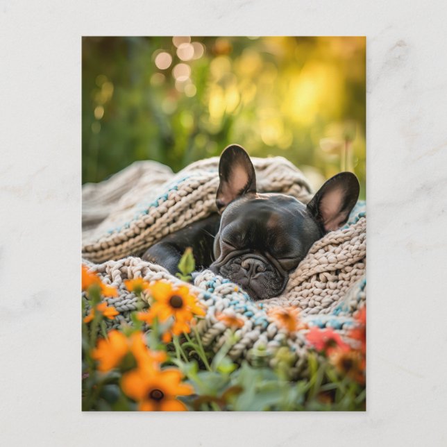 Cartão Postal De Festividades French Bulldog in Knitted Dog Attire (Frente)