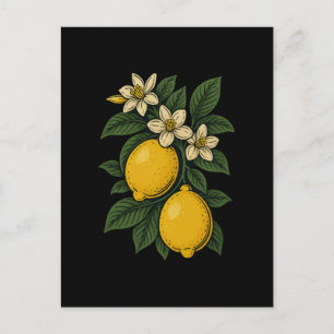 Cartão Postal De Festividades Fruta Limon Vintage Art Lemon Fazenda