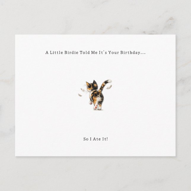 Cartão Postal De Festividades Funny Bird Cat Birthday Card. (Frente)