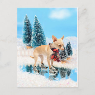 Cartão Postal De Festividades Funny chihuahua with scarf and skates