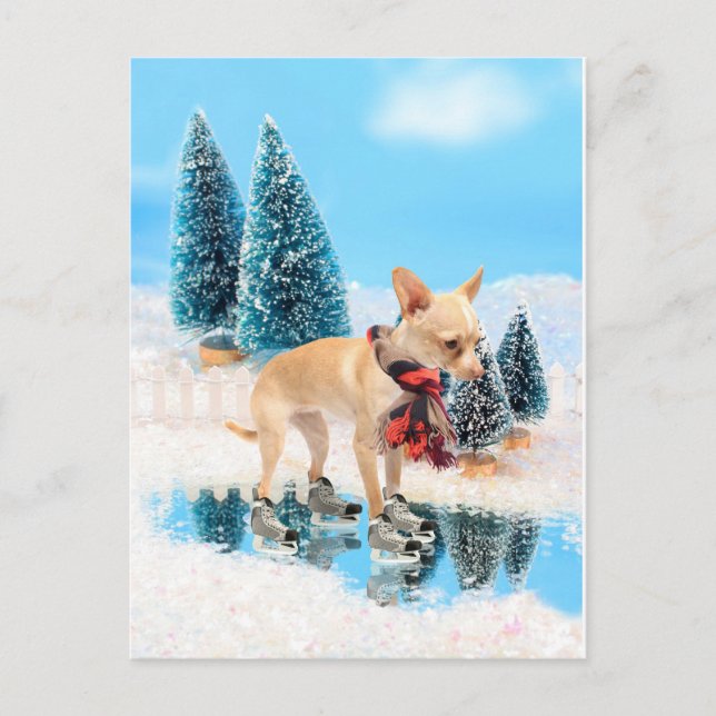 Cartão Postal De Festividades Funny chihuahua with scarf and skates (Frente)
