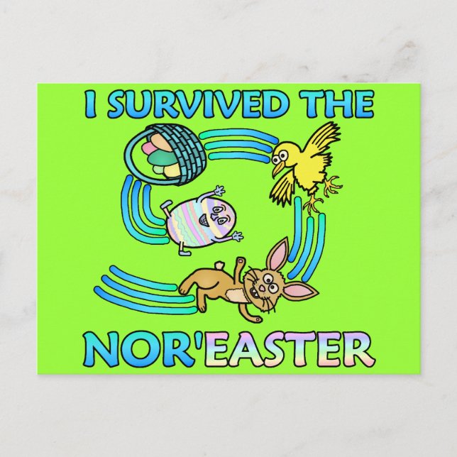 Cartão Postal De Festividades Funny I Survived the Nor'Easter (Frente)