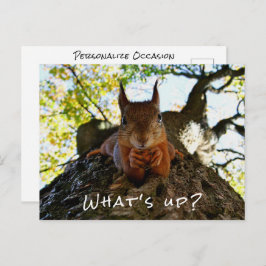 Cartão Postal De Festividades Funny Squirrel Cute Animals Hello There From Hi