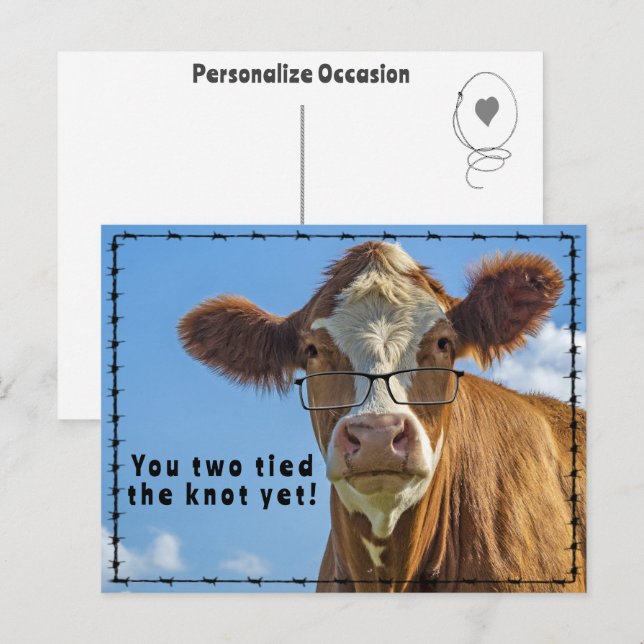 Cartão Postal De Festividades Funny Western Cow Marriage Joke Ranch & Farm Style (Frente/Verso)