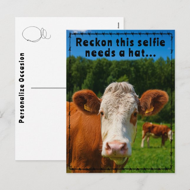 Cartão Postal De Festividades Funny Western Cow Selfie Joke Ranch & Farm Style (Frente/Verso)