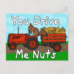 Cartão Postal De Festividades Funny You Drive Me Nuts Squirrel Pun Valentine's