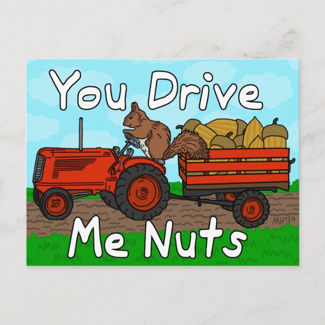 Cartão Postal De Festividades Funny You Drive Me Nuts Squirrel Pun Valentine's (Frente)