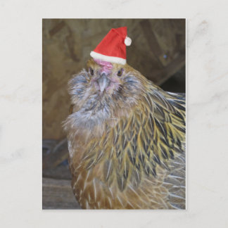 Cartão Postal De Festividades Galinha de Natal