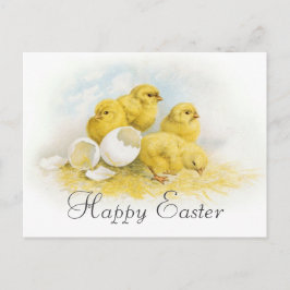 Cartão Postal De Festividades Galinhas do bebê do vintage