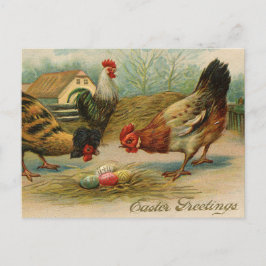 Cartão Postal De Festividades Galinhas saudáveis por Páscoa