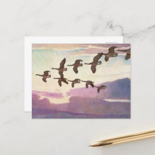 Cartão Postal De Festividades Gansos do Canadá em Primavera por Newell Convers W