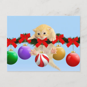 Cartão Postal De Festividades gatinho de Natal
