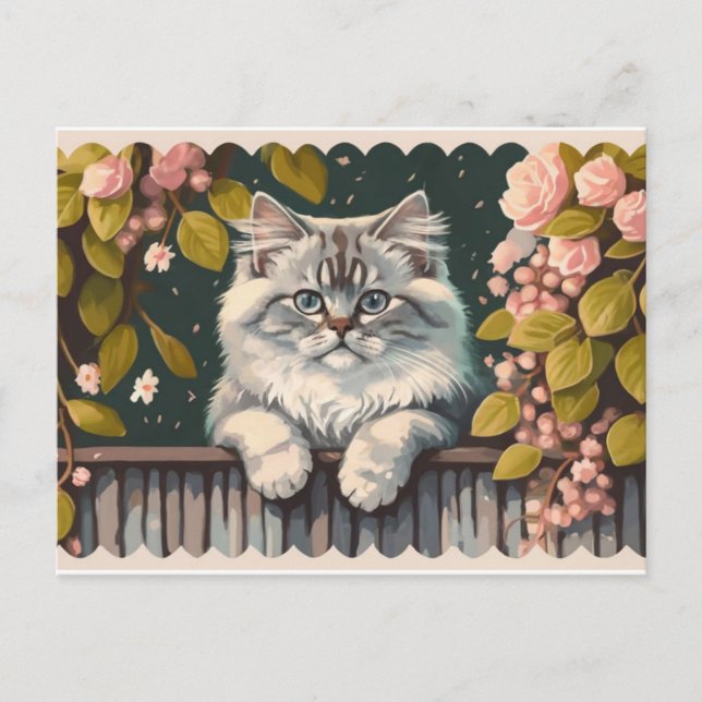 Cartão Postal De Festividades gatinho gatinho gatinho gatos animais engraçados (Frente)