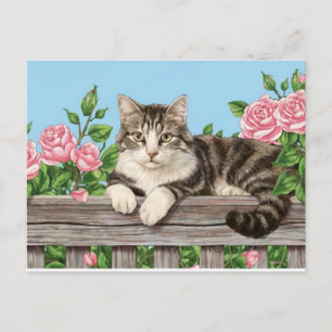 Cartão Postal De Festividades gatinho gatinho gatinho gatos animais engraçados