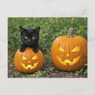 Cartão Postal De Festividades Gatinho Gato Negro com Jack O Lanterna Halloween