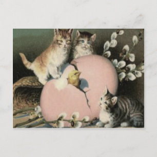 Cartão Postal De Festividades Gatinho Gato Páscoa Pintinho Ovo Colorido Pintado