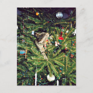 Cartão Postal De Festividades Gatinho na árvore de Natal
