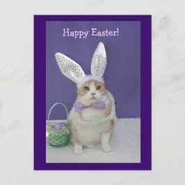 Cartão Postal De Festividades Gatinho páscoa