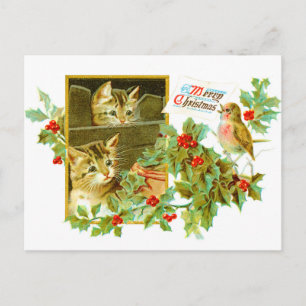 Cartão Postal De Festividades Gatinhos adoráveis e Robin   Natais vintages bonit