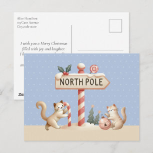 Cartão Postal De Festividades Gatinhos Cachorros Natal no Polo Norte