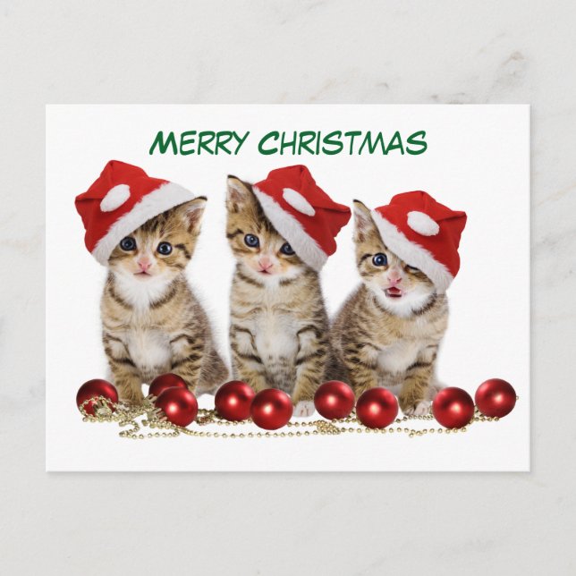 Cartão Postal De Festividades Gatinhos de Natal Bonitos (Frente)