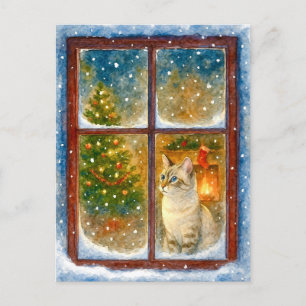 Cartão Postal De Festividades Gato Aconchegante de Inverno junto à Janela Cartão
