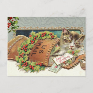 Cartão Postal De Festividades Gato Antigo e Folha de Azevinho