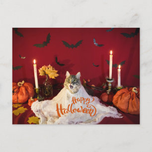 Cartão Postal De Festividades Gato Assustador em Dia de as Bruxas engraçado
