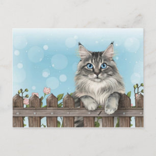 Cartão Postal De Festividades Gato Bonito Art Gatinho Gatinhos Animais Engraçado
