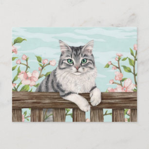 Cartão Postal De Festividades Gato Bonito Art Gatinho Gatinhos Animais Engraçado