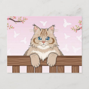 Cartão Postal De Festividades Gato Bonito Art Gatinho Gatinhos Animais Engraçado