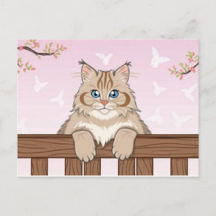 Cartão Postal De Festividades Gato Bonito Art Gatinho Gatinhos Animais Engraçado