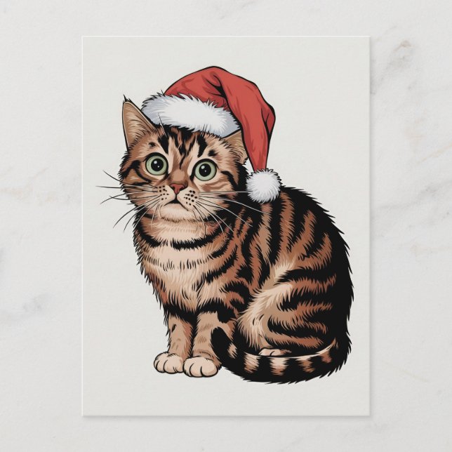 Cartão Postal De Festividades Gato bonito com chapéu de natal (Frente)