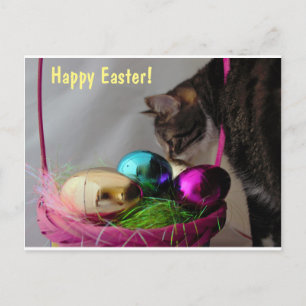 Cartão Postal De Festividades Gato com Cesta de Páscoa