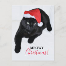 Gato com o Chapéu Vermelho de Papai Noel