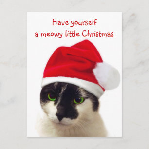 Cartão Postal De Festividades Gato com Papai noel
