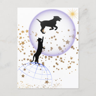 Cartão Postal De Festividades Gato curioso e cão correndo