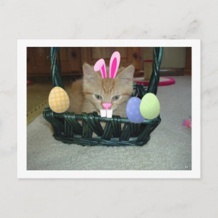 Cartão Postal De Festividades Gato de Gatinho páscoa Laranja